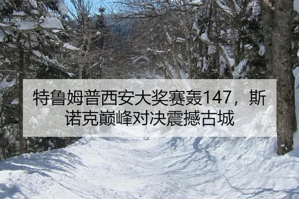 te-lu-mu-pu-xi-an-da-jiang-sai-hong-si-nuo-ke-dian-feng-dui-jue-zhen-han-gu-cheng-2-771.jpg