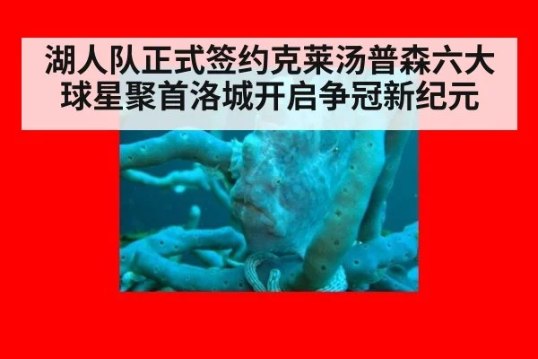 湖人队正式签约克莱汤普森六大球星聚首洛城开启争冠新纪元